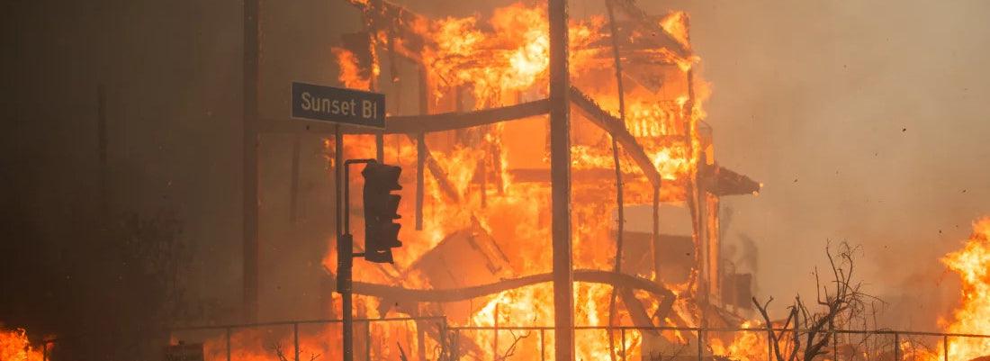 Los Angeles Fire Resources - Electric Family