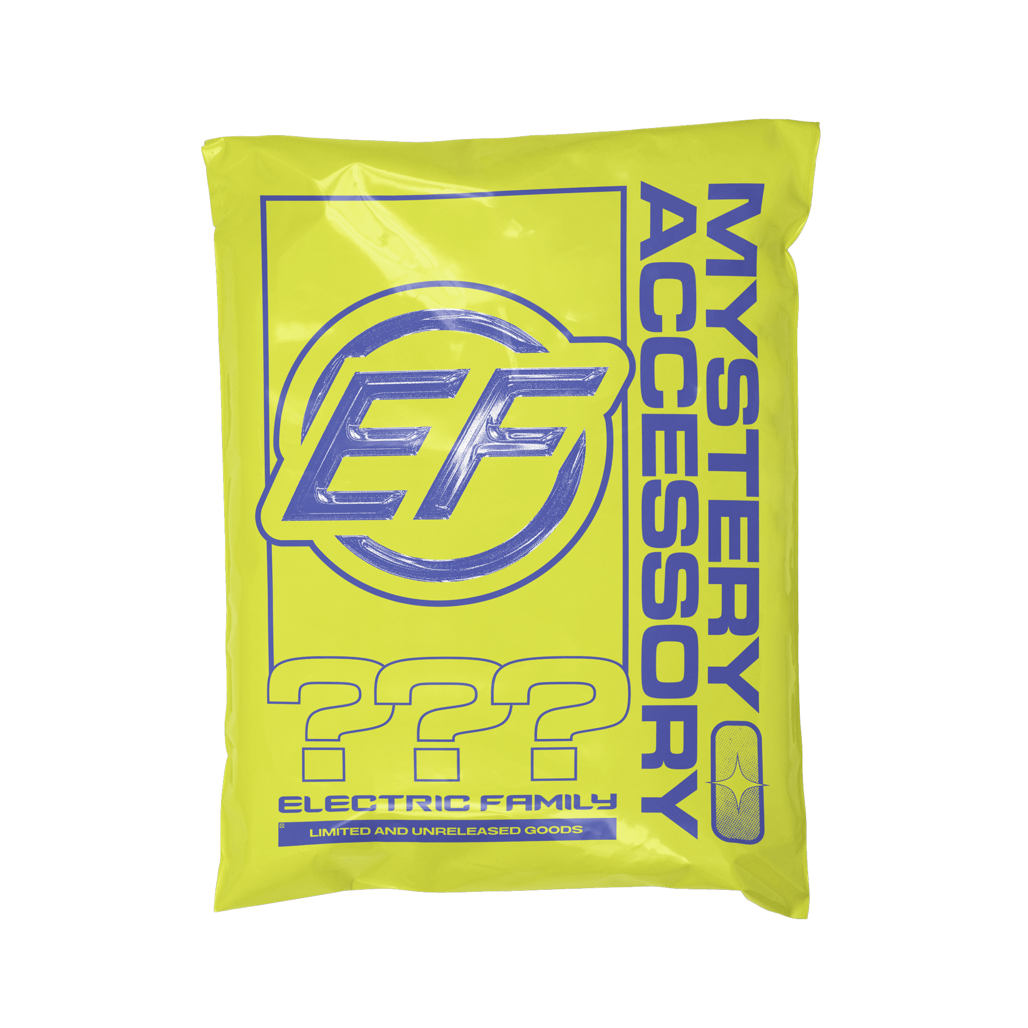 Electric Family Mystery Accessory - Mystery Accessory Mystery Accessory - Default Title