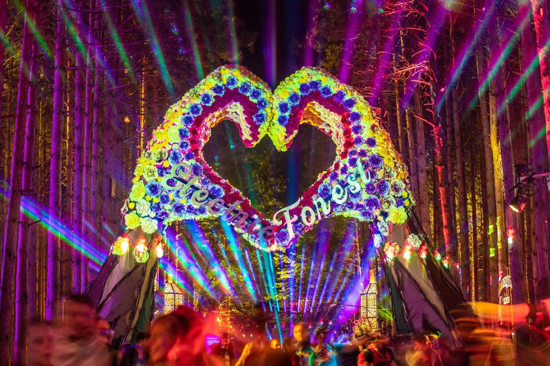 Electric Forest is Challenging You to Make an Impact in 2020