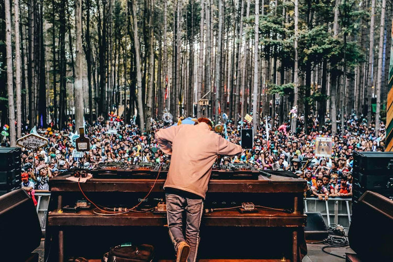Electric Forest Brings Fans and Community Together With the Wish Machine