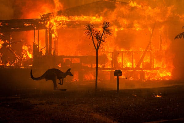 Artists Doing Good: Australian Bushfire Relief Efforts