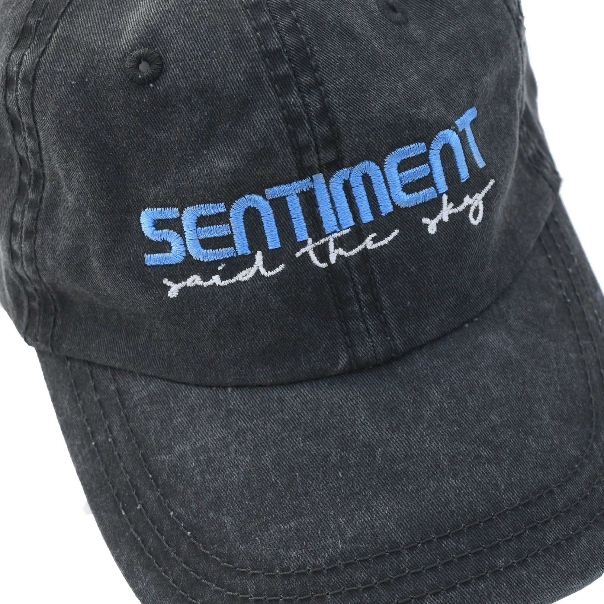Sentiment Tour Dad Hat - Dad Hat -  Said the Sky-  Electric Family Official Artist Merchandise