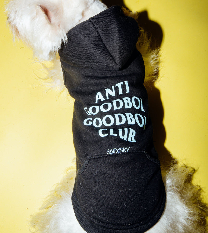 Goodboi Dog Hoodie - Dog Hoodie -  Said the Sky-  Electric Family Official Artist Merchandise