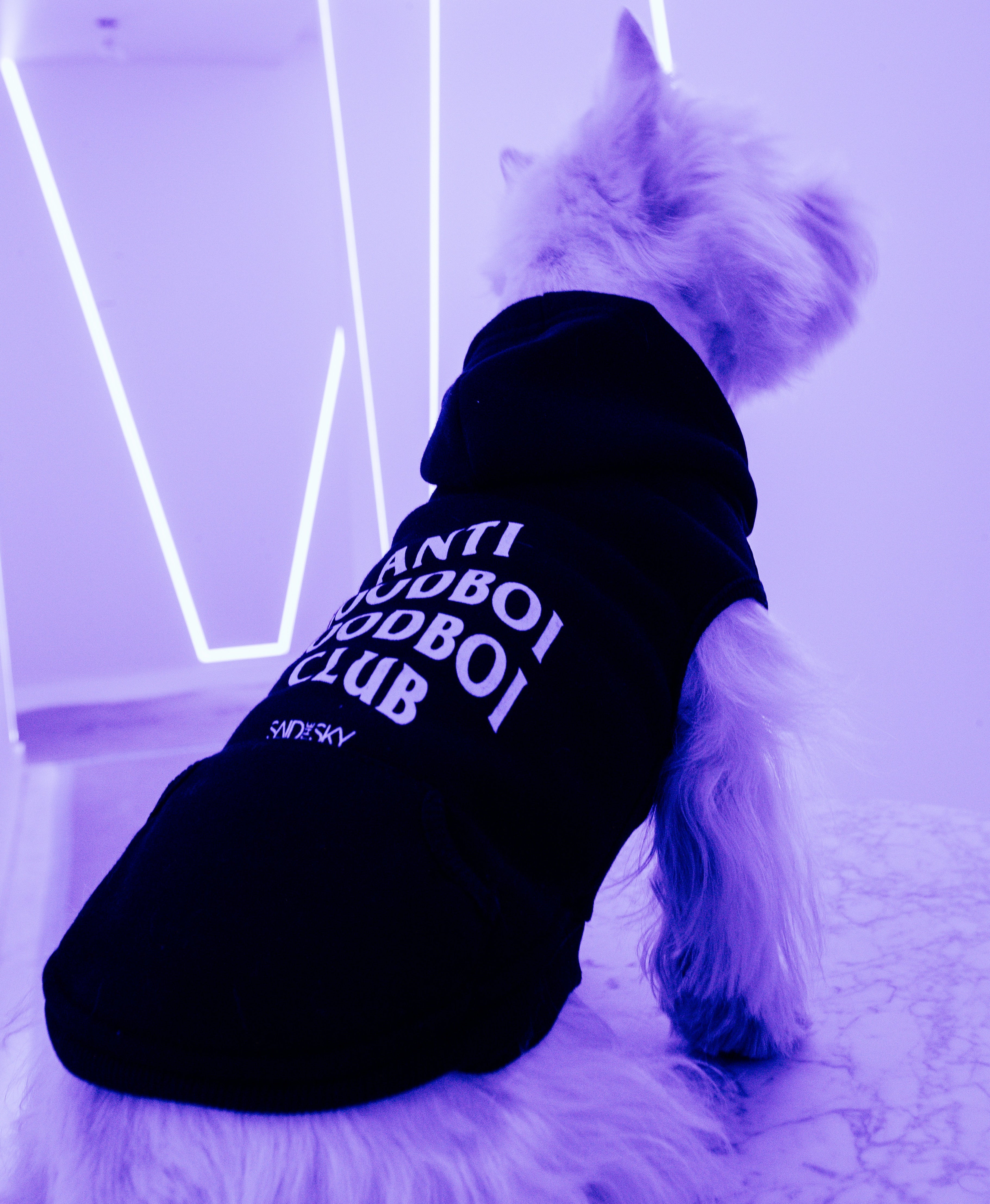 Goodboi Dog Hoodie - Dog Hoodie -  Said the Sky-  Electric Family Official Artist Merchandise